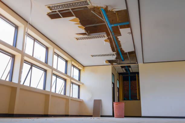 Best Residential water damage restoration  in Shafer, MN