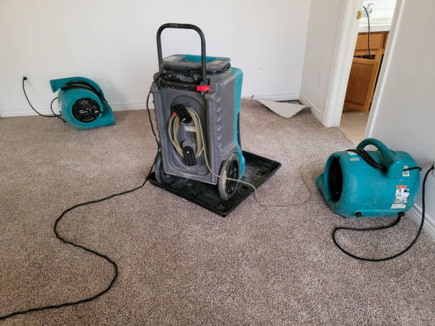 Best Water damage restoration experts  in Shafer, MN