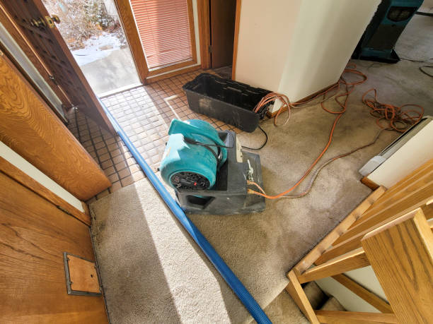 Best 24-hour water damage restoration  in Shafer, MN