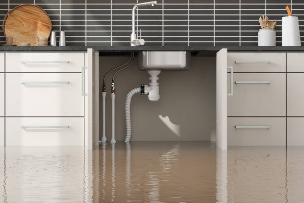 Shafer, MN Water damage restoration Company